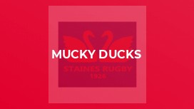 Mucky Ducks