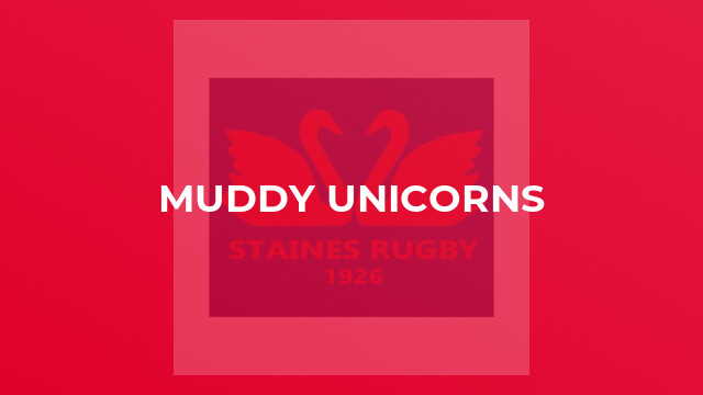 Muddy Unicorns