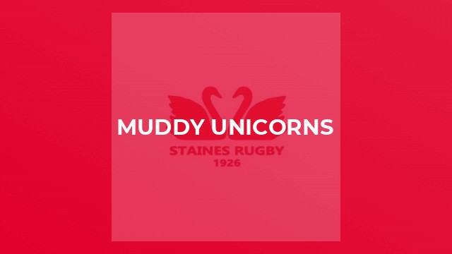 Muddy Unicorns