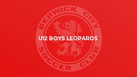 U12 Boys Leopards