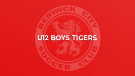 U12 Boys Tigers