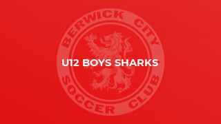 U12 Boys Sharks