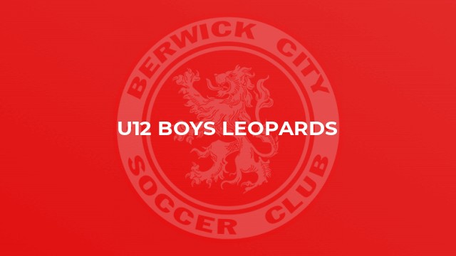 U12 Boys Leopards