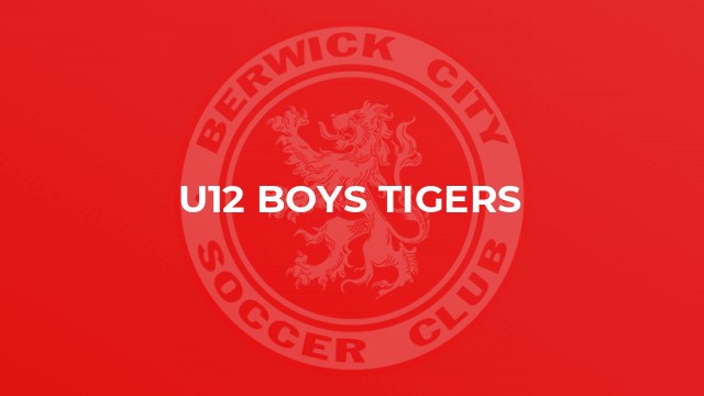 U12 Boys Tigers