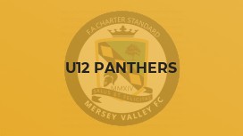 U12 Panthers
