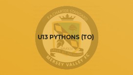 U13 Pythons (TO)