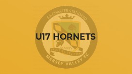 U17 Hornets