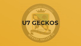 U7 Geckos