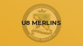 U8 Merlins