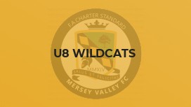 U8 Wildcats