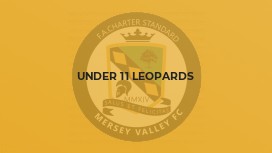 Under 11 Leopards