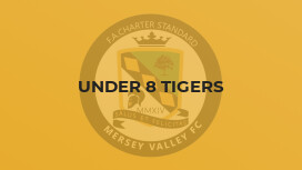 Under 8 Tigers
