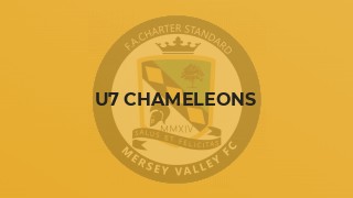 U7 Chameleons