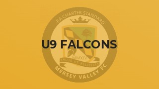 U9 Falcons