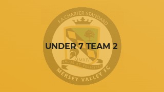 Under 7 Team 2