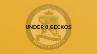 Under 8 Geckos