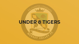 Under 8 Tigers
