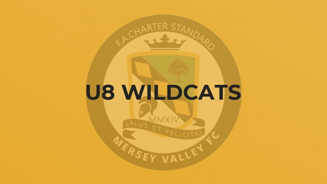 U8 Wildcats