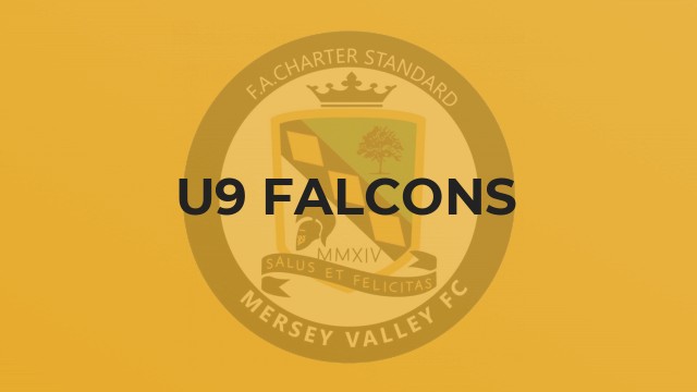 U9 Falcons