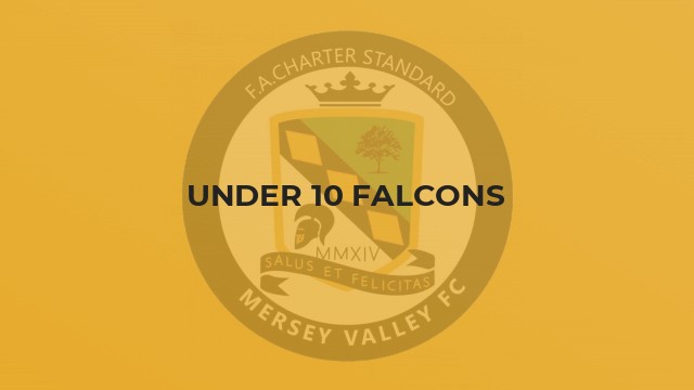 Under 10 Falcons