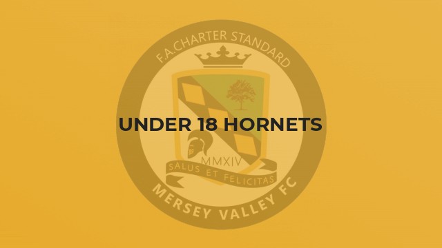 Under 18 Hornets