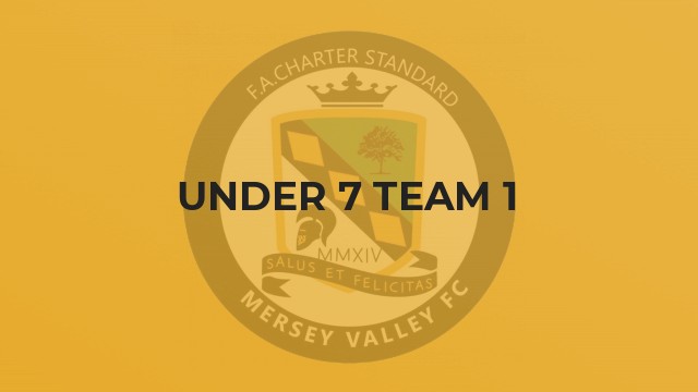 Under 7 Team 1