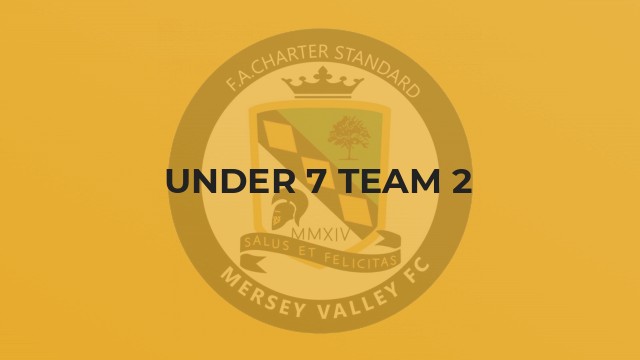 Under 7 Team 2