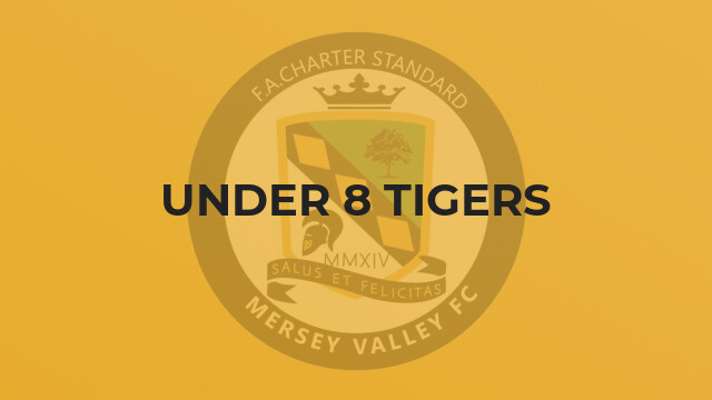 Under 8 Tigers