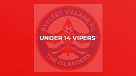 Under 14 Vipers