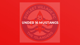 Under 16 Mustangs