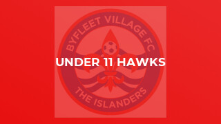 Under 11 Hawks