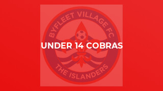 Under 14 Cobras