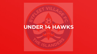 Under 14 Hawks