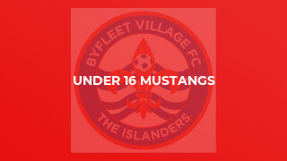 Under 16 Mustangs