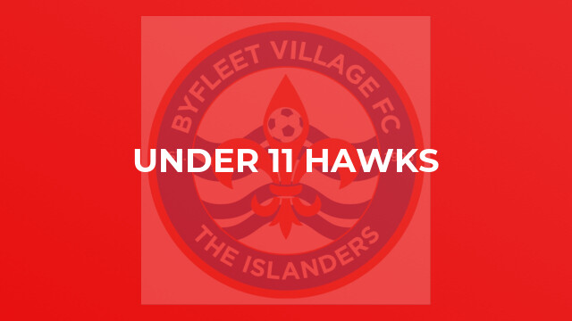Under 11 Hawks