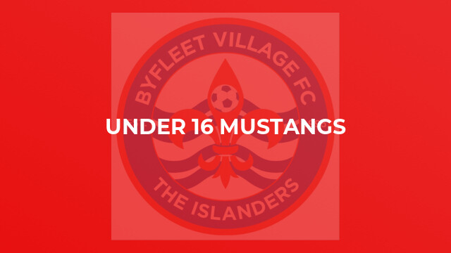 Under 16 Mustangs