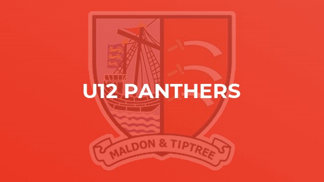 U12 Panthers