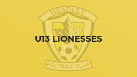 U13 Lionesses