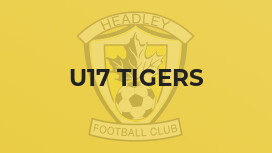 U17 Tigers