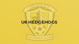 U6 Hedgehogs