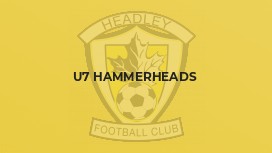U7 Hammerheads