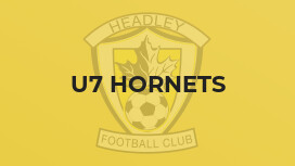 U7 Hornets
