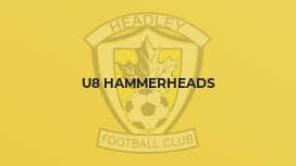 U8 Hammerheads