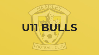 U11 Bulls