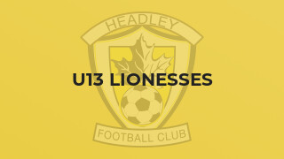 U13 Lionesses