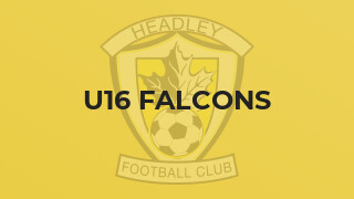 U16 Falcons