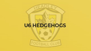 U6 Hedgehogs