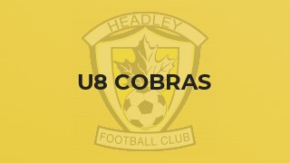 U8 Cobras
