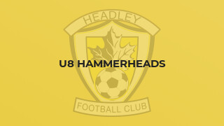 U8 Hammerheads