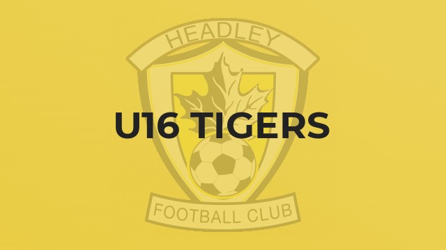 U16 Tigers
